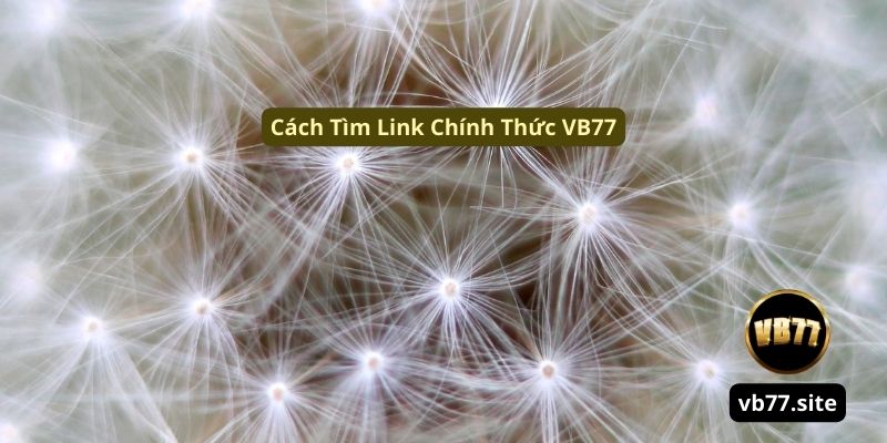 Cach tim link chinh thuc vb77 cach tim link chinh thuc vb77 | Link Chính Thức VB77