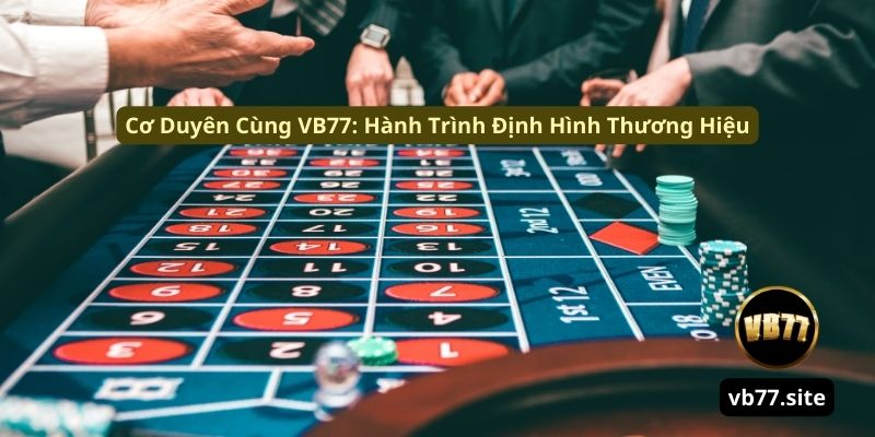 Tác Giả VB77 Minh Trần: Hành Trình Kiến Thức Và Cơ Duyên Cùng VB77 Tác Giả VB77 Minh Trần: Hành Trình Kiến Thức Và Cơ Duyên Cùng VB77