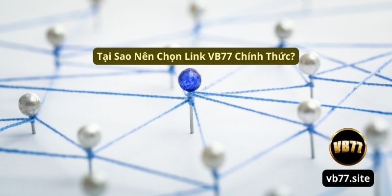 Tai sao nen chon link vb77 chinh thuc tai sao nen chon link vb77 chinh thuc