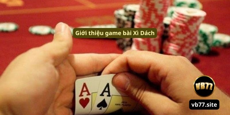 doi net ve bo mon xi dach mang tinh giai tri cao doi net ve bo mon xi dach mang tinh giai tri cao
