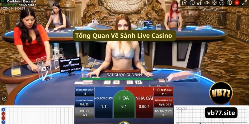 gioi thieu ve sanh live casino dam chat hoang gia cua vb77 gioi thieu ve sanh live casino dam chat hoang gia cua vb77