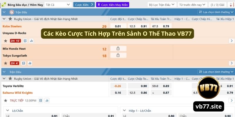nhung loai keo ma hoi vien can biet khi tham gia ca cuoc the thao nhung loai keo ma hoi vien can biet khi tham gia ca cuoc the thao