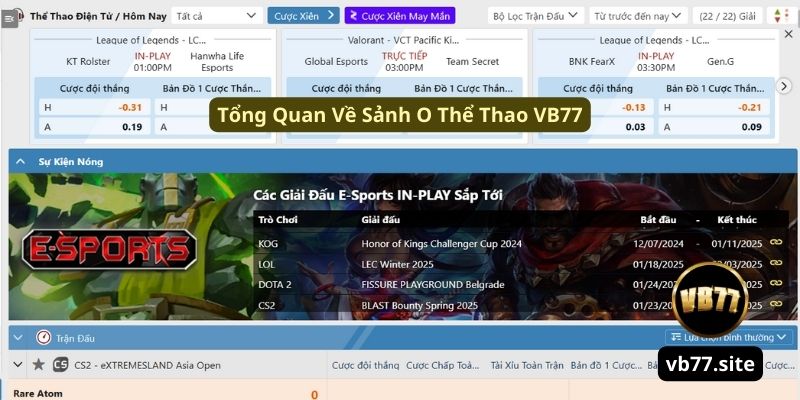 sanh o the thao mang lai cho nguoi choi su yen tam khi tham gia sanh o the thao mang lai cho nguoi choi su yen tam khi tham gia