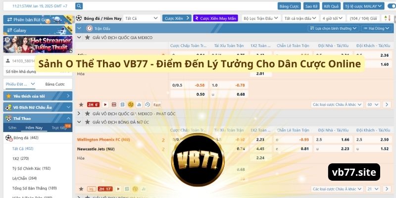 sanh o the thao vb77 diem den ly tuong cho dan cuoc online